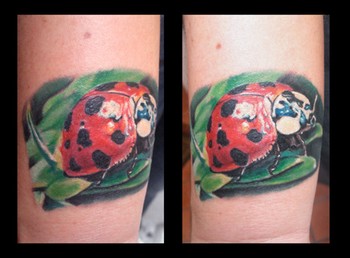 Tattoos - Michele Turco - Ladybug on leaf